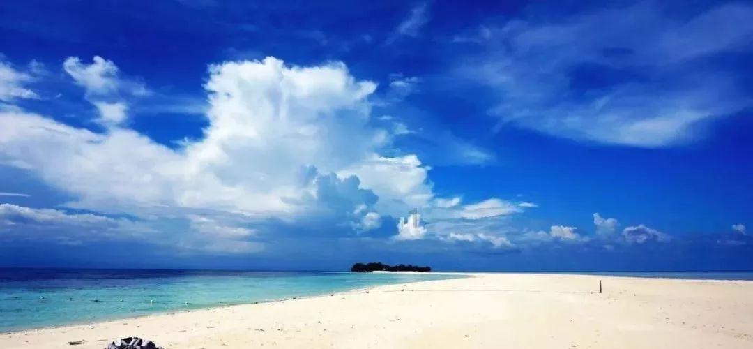 沪江开心词场