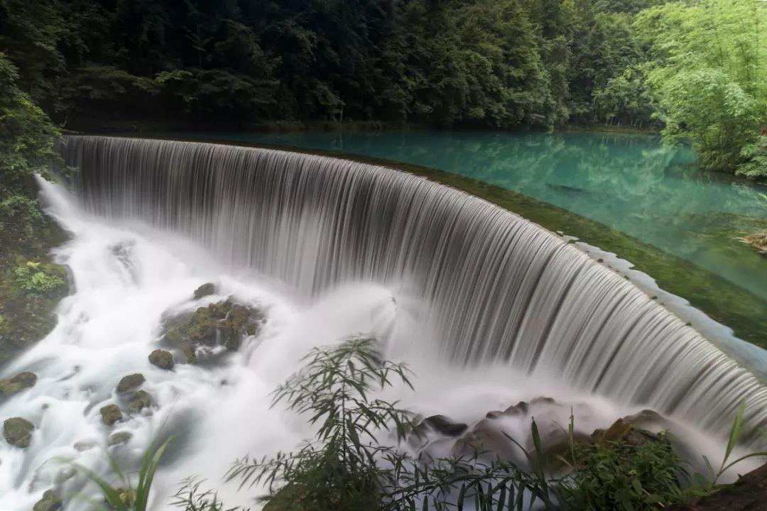 动物帮帮忙保卫家园