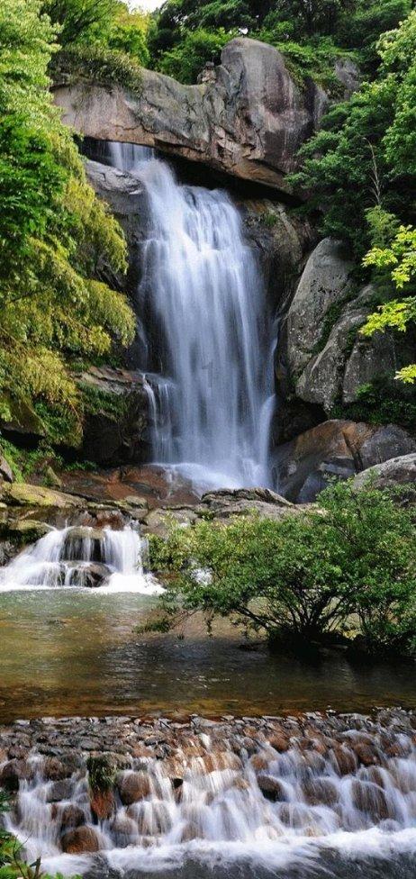 “鹤顶红”真有剧毒吗?蜗牛问答-解决你所有疑问
