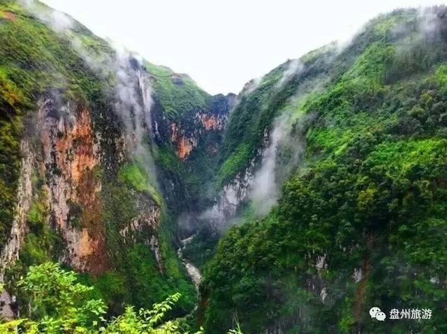 小猫钓鱼正版下载中文版