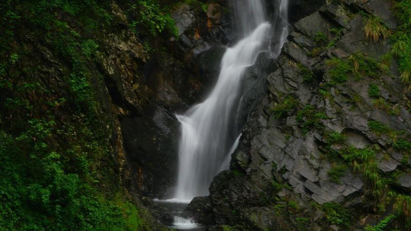 虫虫助手下载